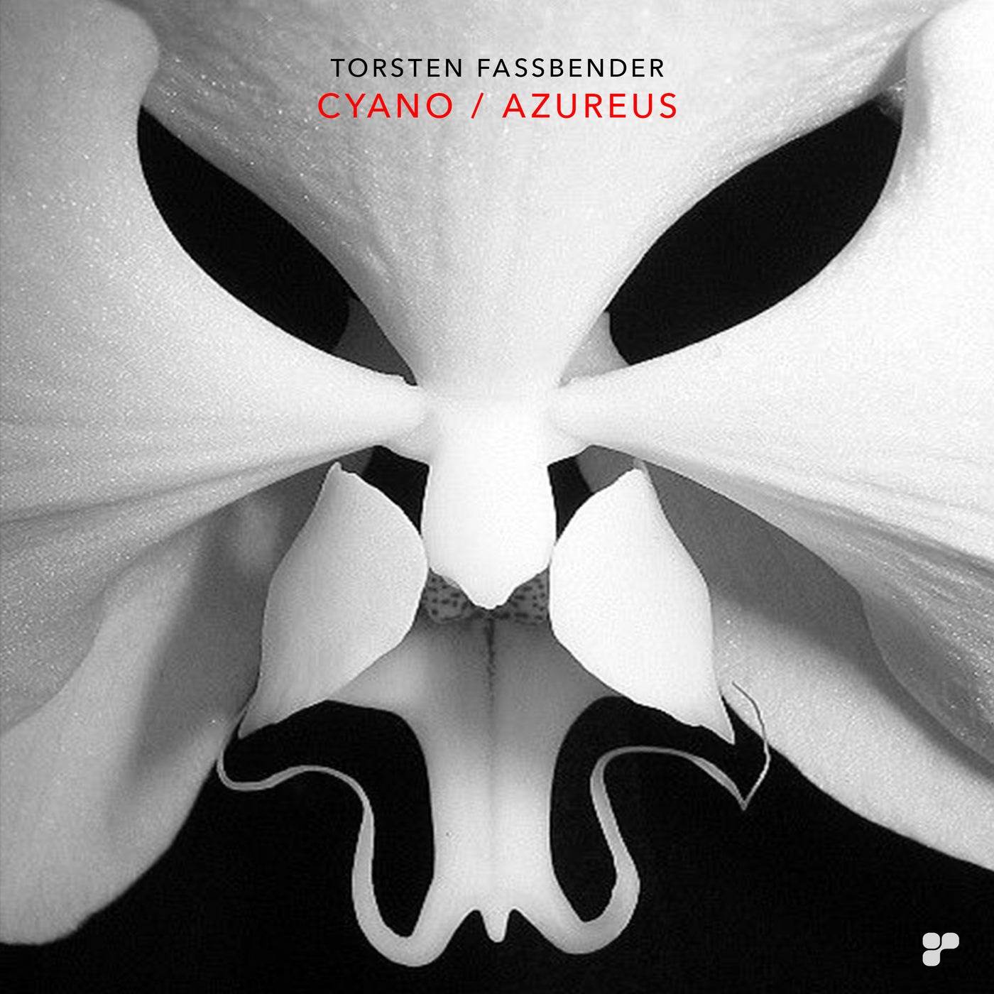 Torsten Fassbender - Cyano (Original Mix)