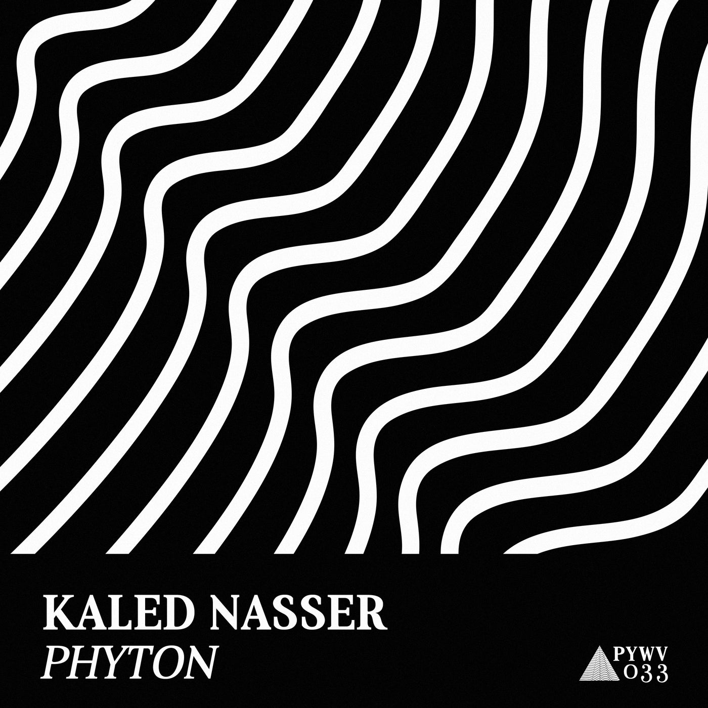 Kaled Nasser, Rox Martins - System (Original Mix)