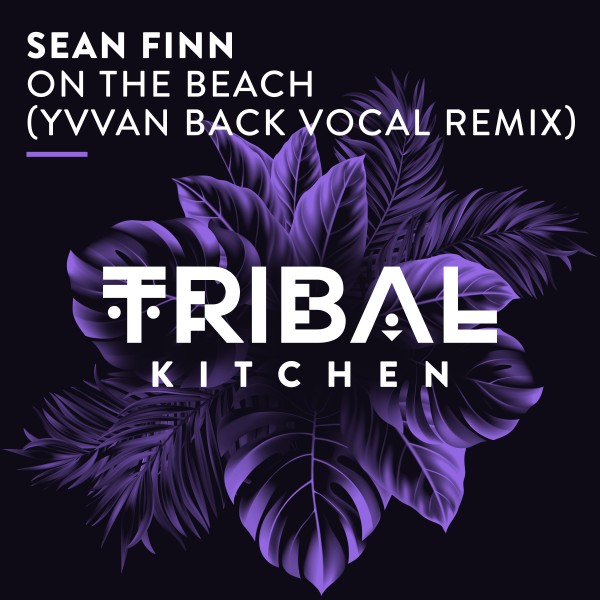 Sean Finn - On The Beach (Yvvan Back Extended Vocal Remix)