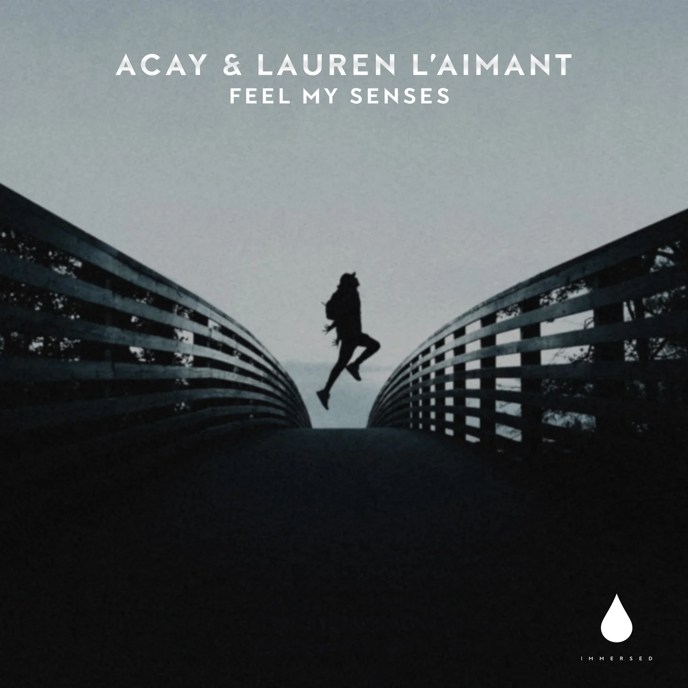 ACAY, Lauren L'aimant - Feel My Senses (Extended Mix)