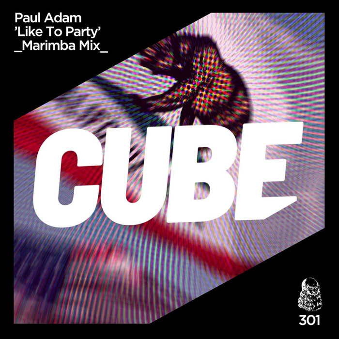 Paul Adam - Like To Party (Marimba Mix)