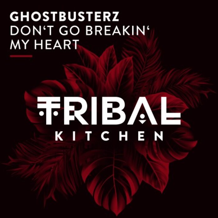 Ghostbusterz - Don't Go Breakin' My Heart (Extended Mix)