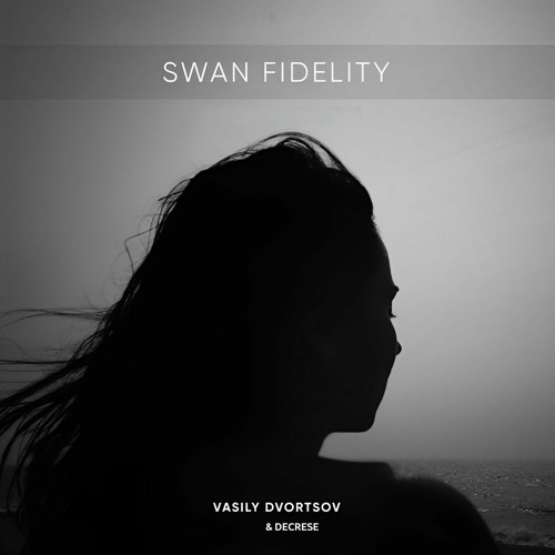 Vasily Dvortsov - Swan Fidelity (Decrese Remix)
