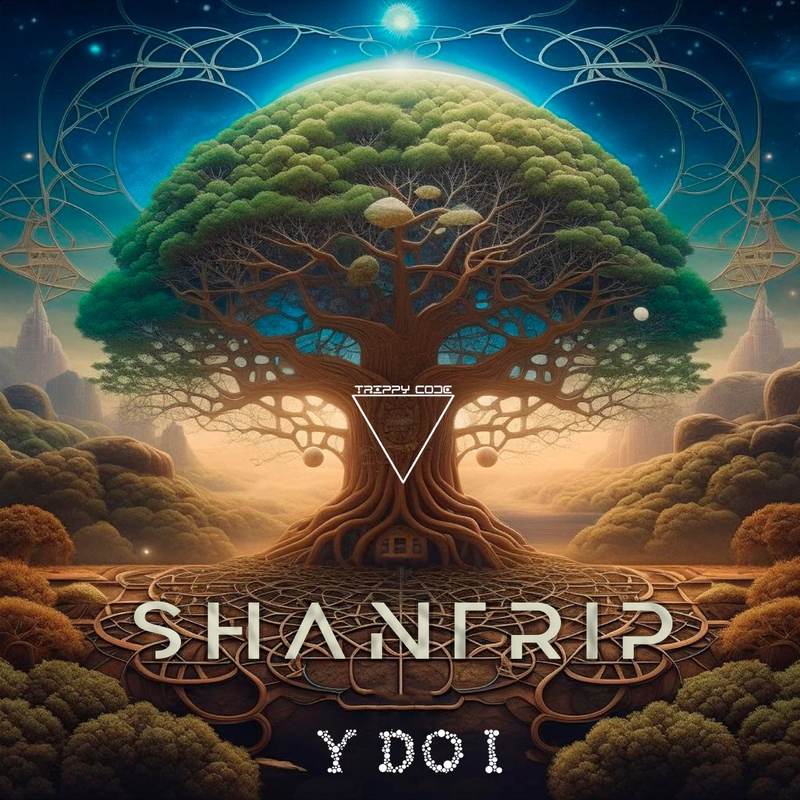 Y do I - Shantrip (Extended Mix)