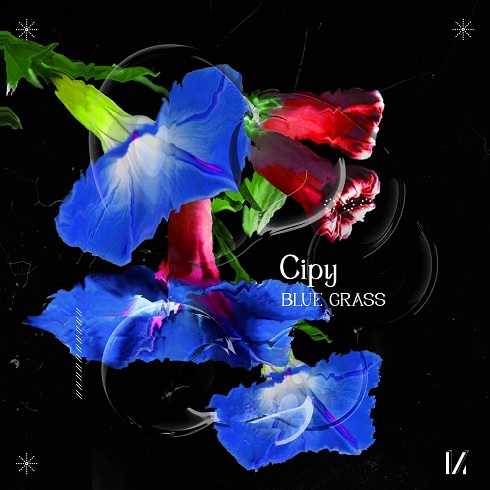 Cipy - Blue Grass (Original Mix)