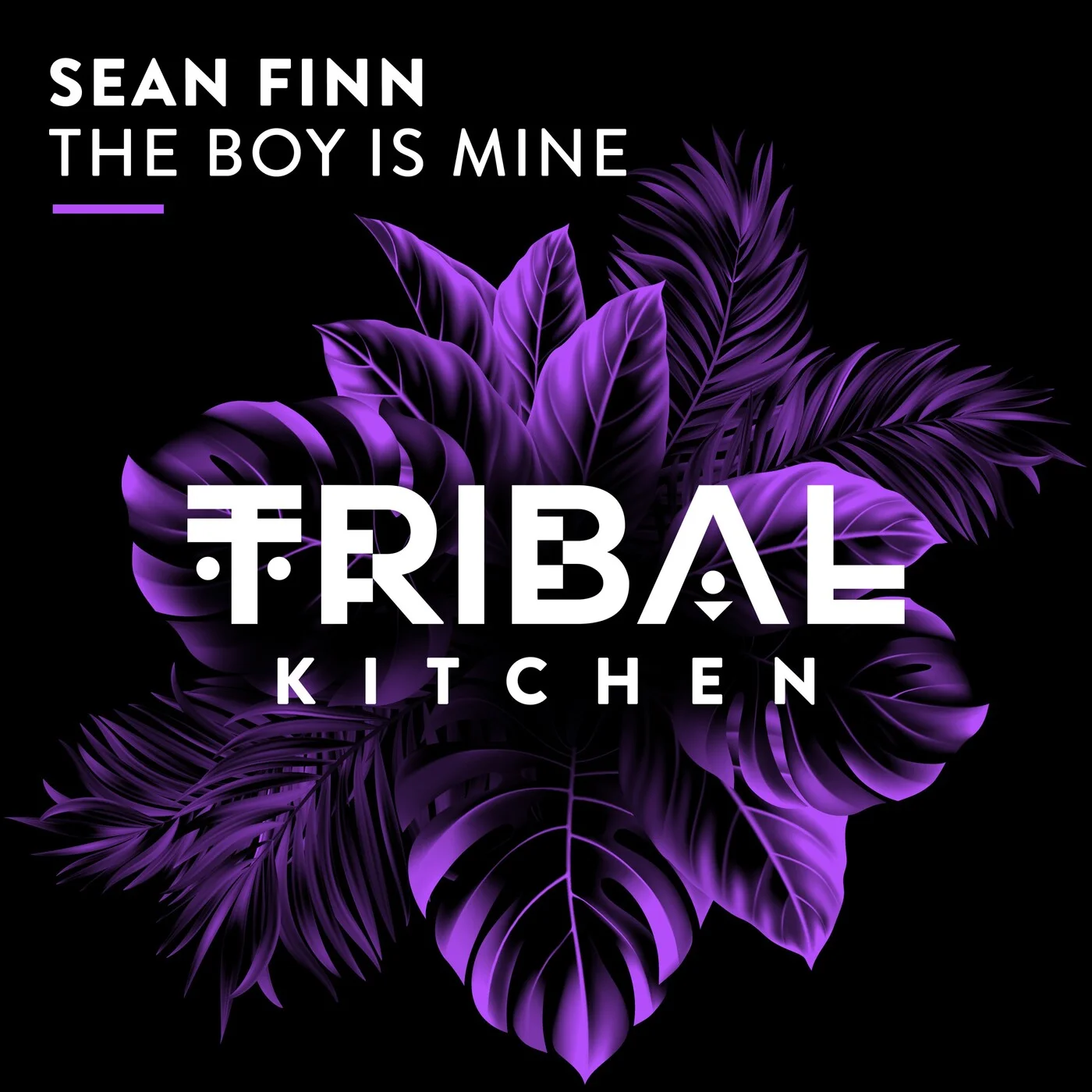 Sean Finn - The Boy Is Mine (Extended Mix)