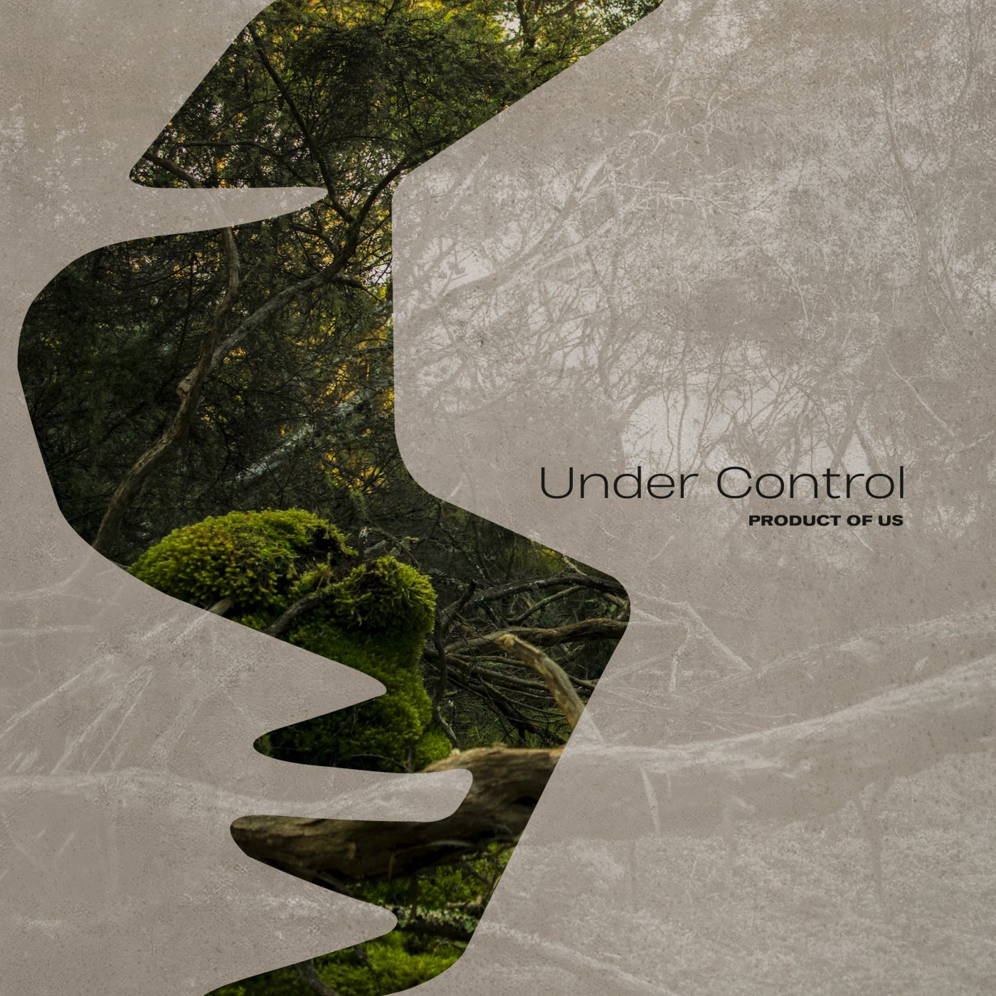 Product Of Us - Under Control (Extended Mix)