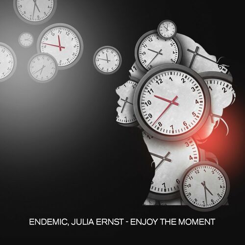Endemic & JULIA ERNST - Enjoy The Moment (Original Mix)