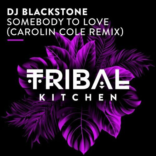 DJ Blackstone - Somebody to Love (Carolin Cole Extended Remix)