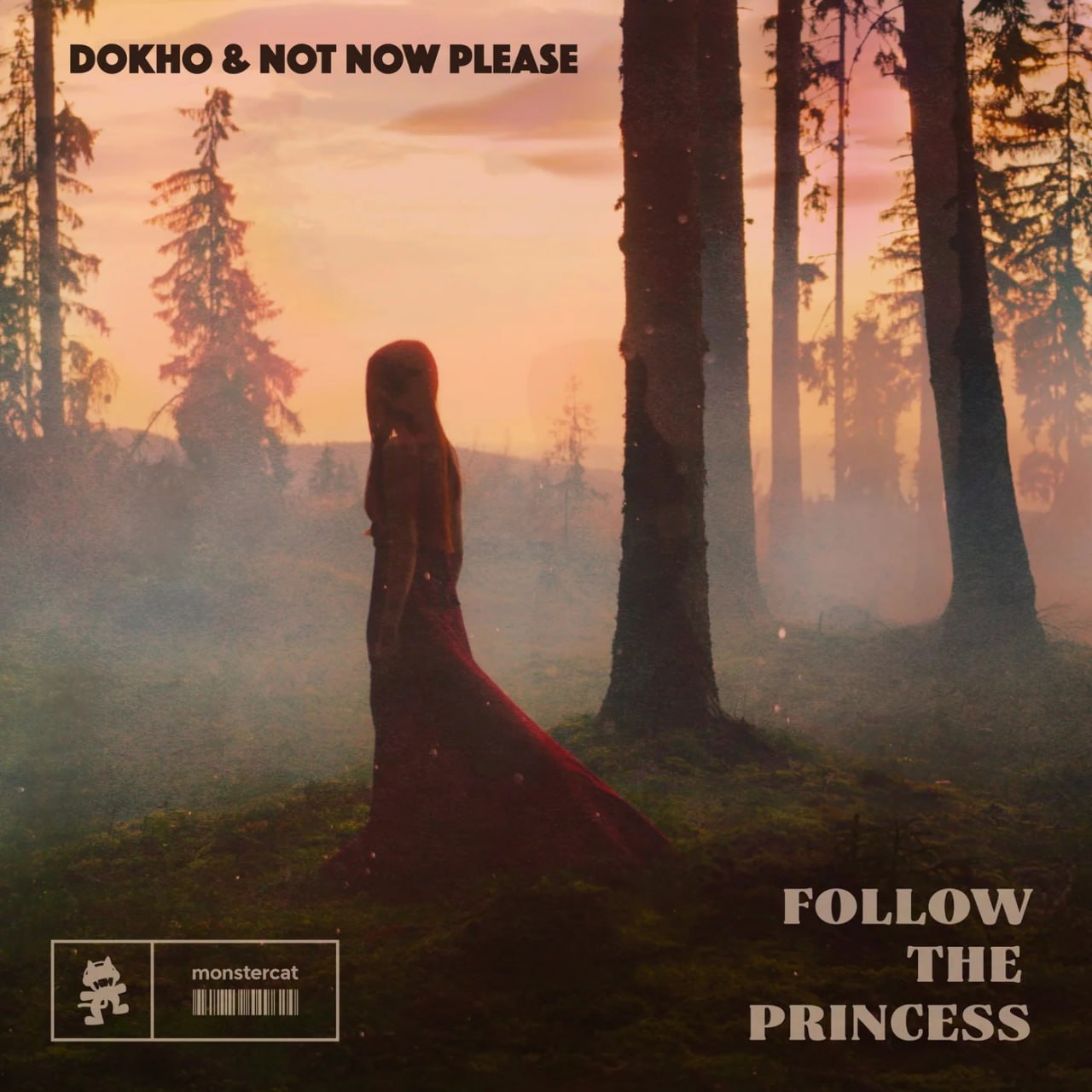 Dokho & Not Now Please - Follow The Princess (Original Mix)