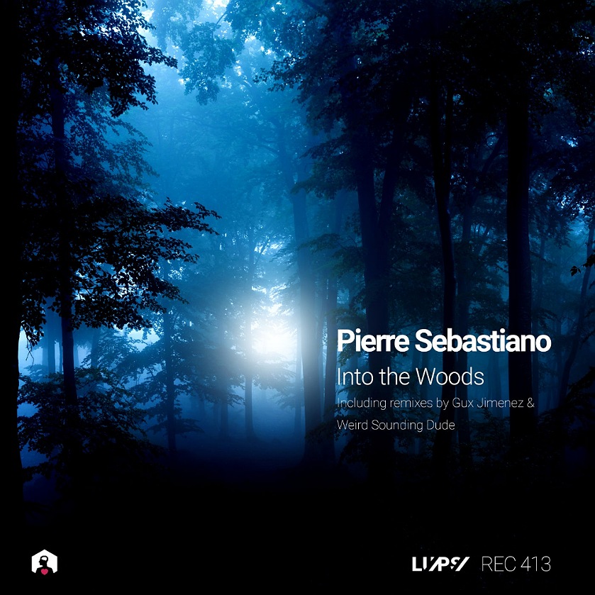 Pierre Sebastiano - Into the Woods (Weird Sounding Dude Remix)