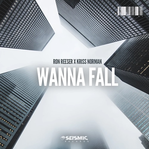 Ron Reeser x Kriss Norman - Wanna Fall (Extended Mix)