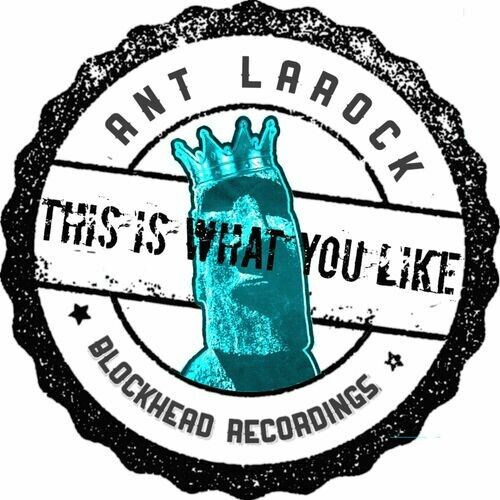 Ant LaRock - This Is What You Like (Original Mix)