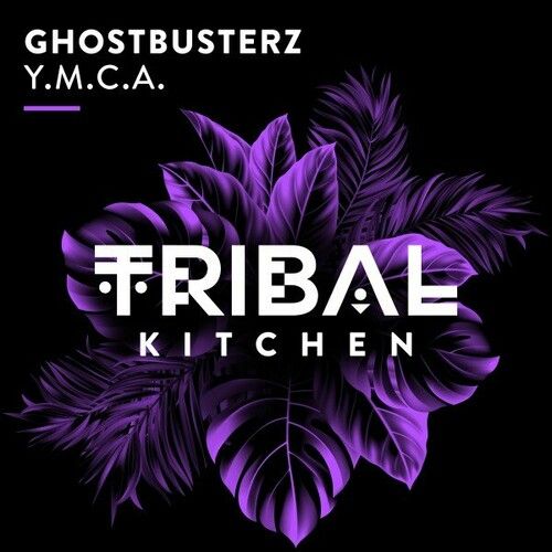 Ghostbusterz - Y.M.C.A. (Extended Mix)