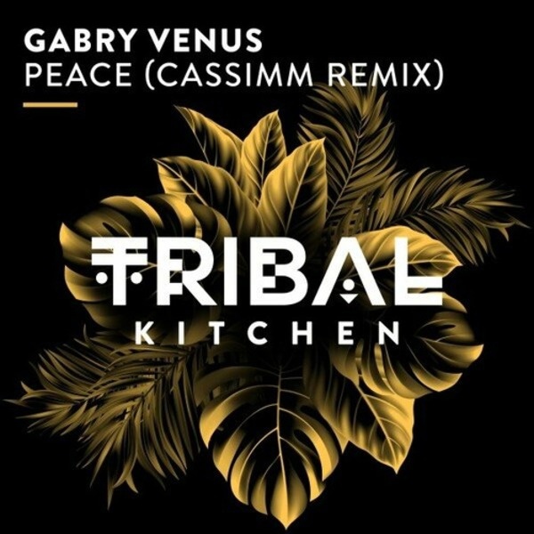 Gabry Venus - Peace (Cassimm Extended Remix)