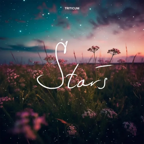 Triticum - Stars (Original Mix)