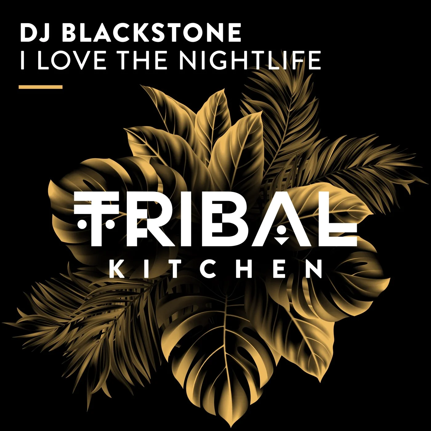 DJ Blackstone - I Love the Nightlife (Extended Mix)