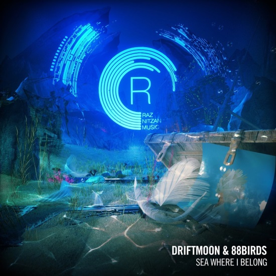 Driftmoon & 88Birds - Sea Where I Belong (Original Mix)