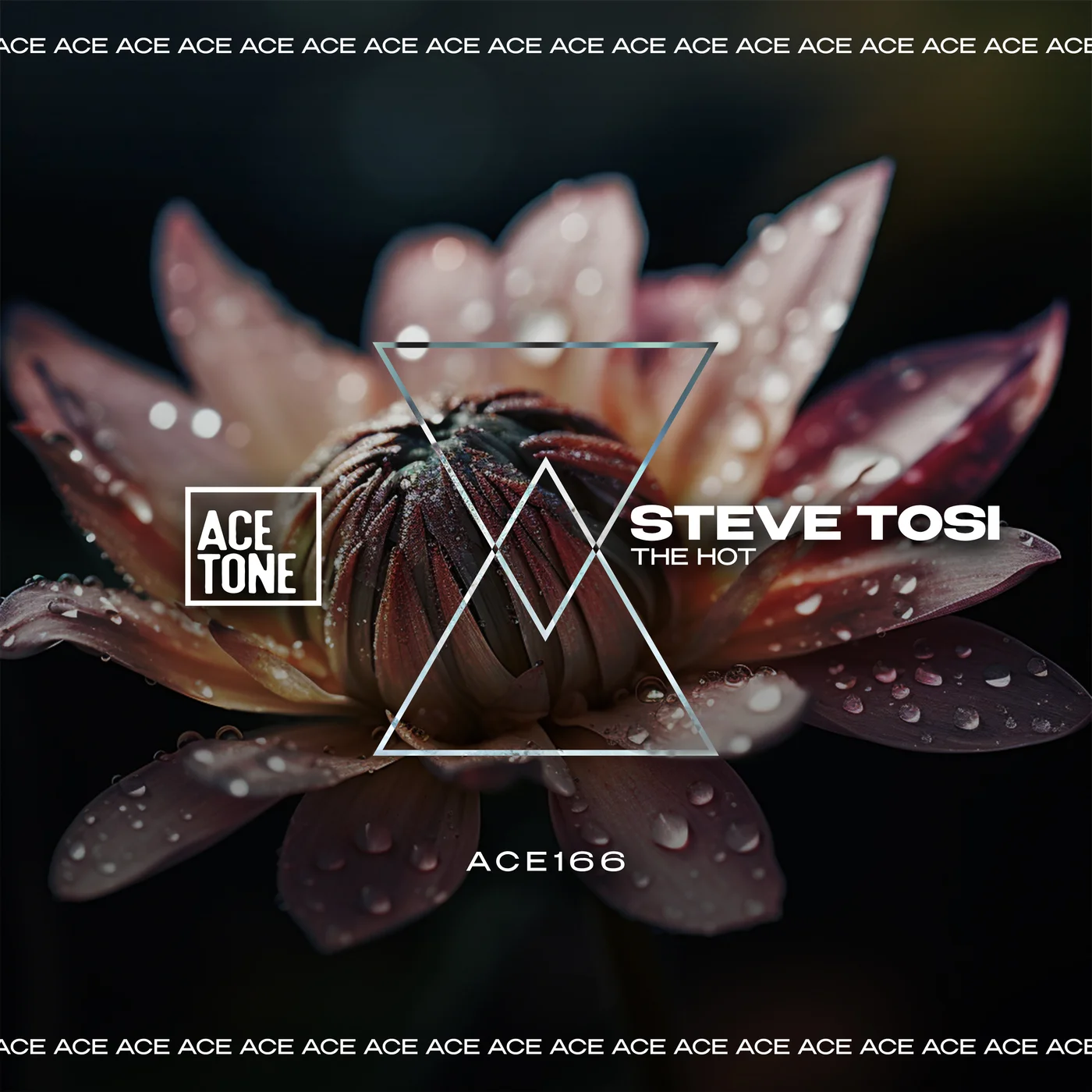 Steve Tosi - The Hot (Original Mix)