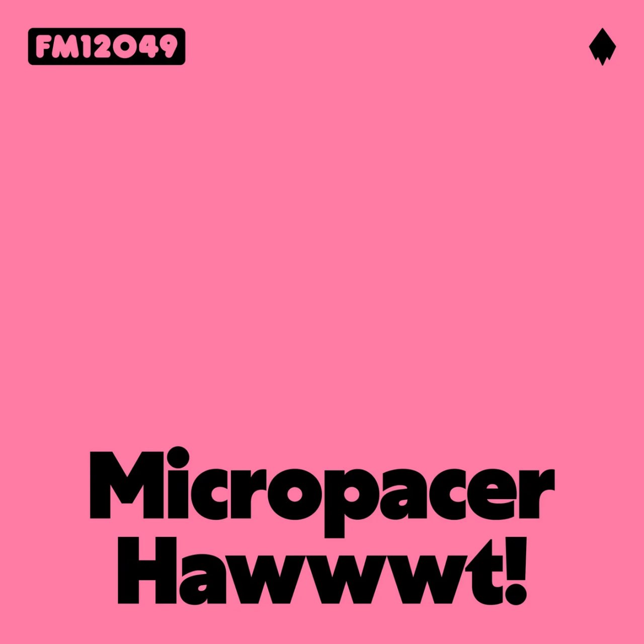 Micropacer - Hawwwt! (Original Mix)