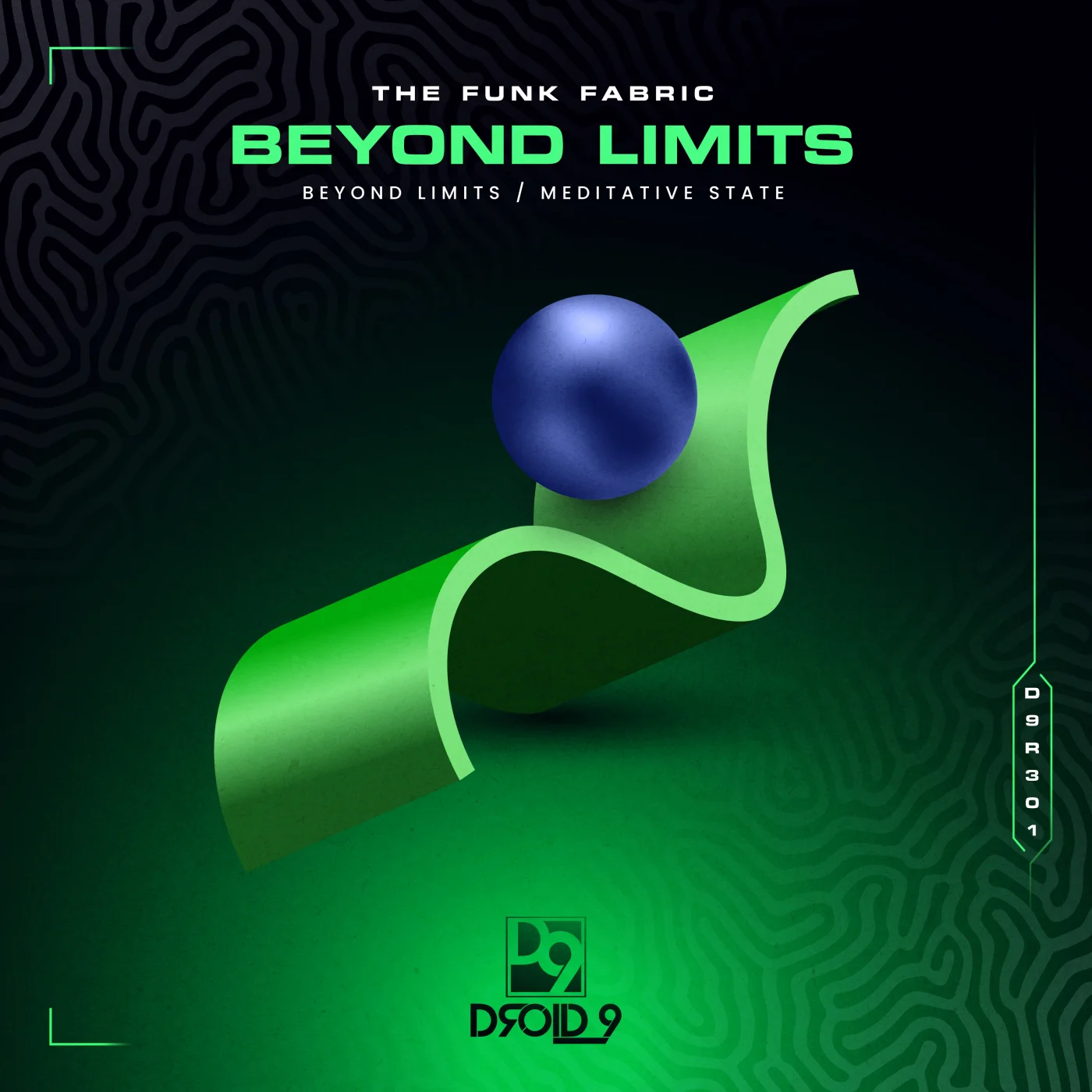 The Funk Fabric - Beyond Limits (Original Mix)