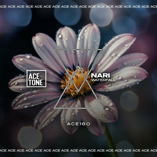 Nari - Waterfall (Original Mix)