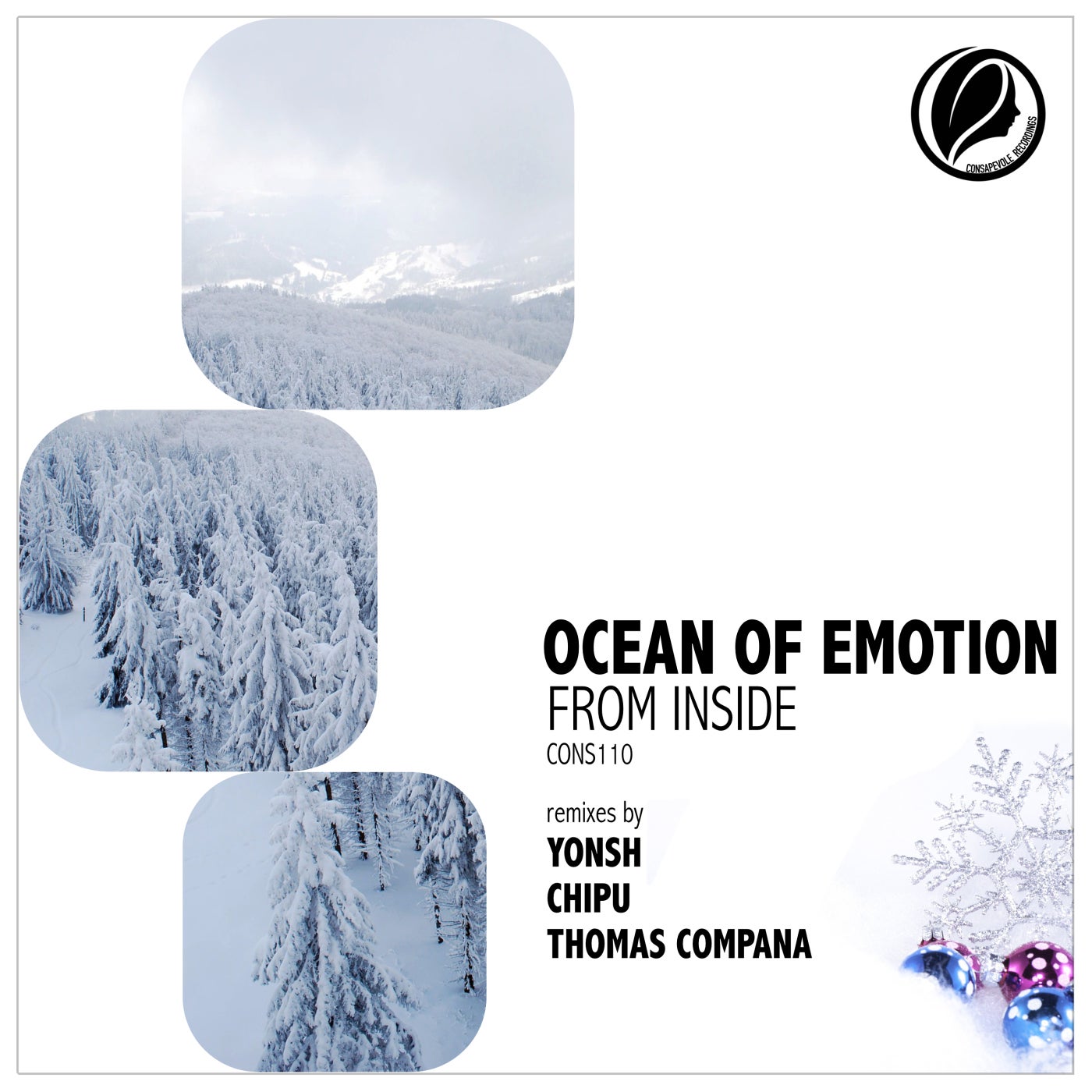 Ocean of Emotion - From Inside (Thomas Compana Remix)