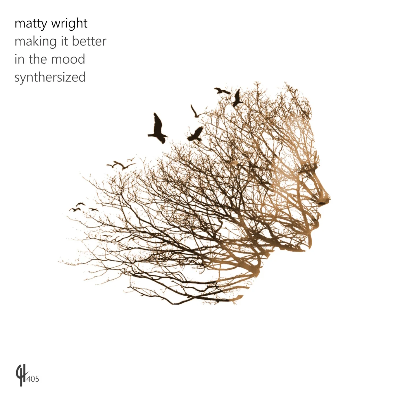 Matty Wright - In The Mood