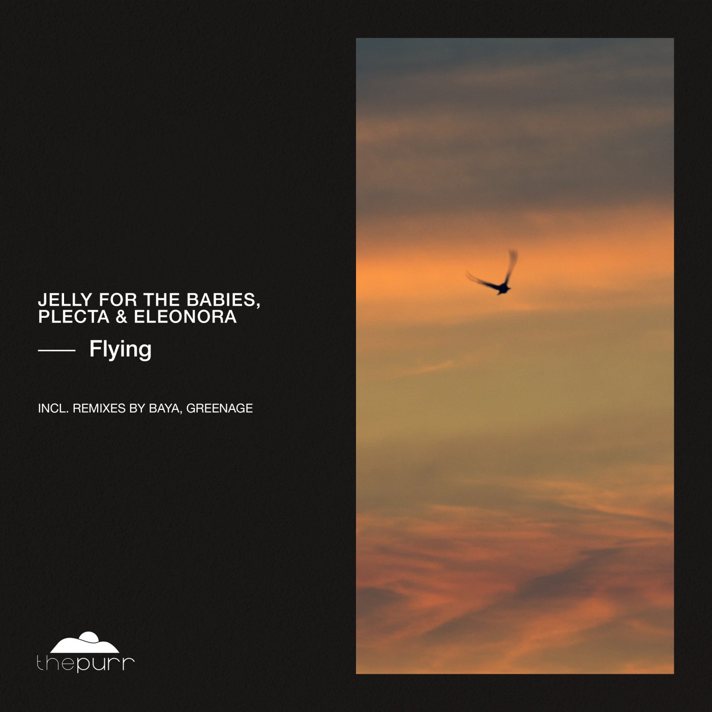 Jelly For The Babies x Plecta - Flying feat. Eleonora (Baya Remix)