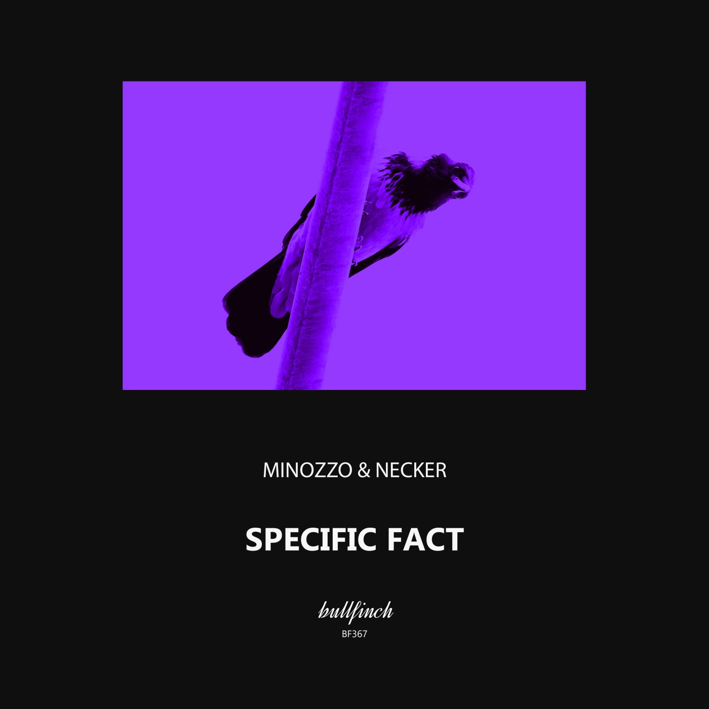 Necker & Minozzo - Specific Fact (Original Mix)