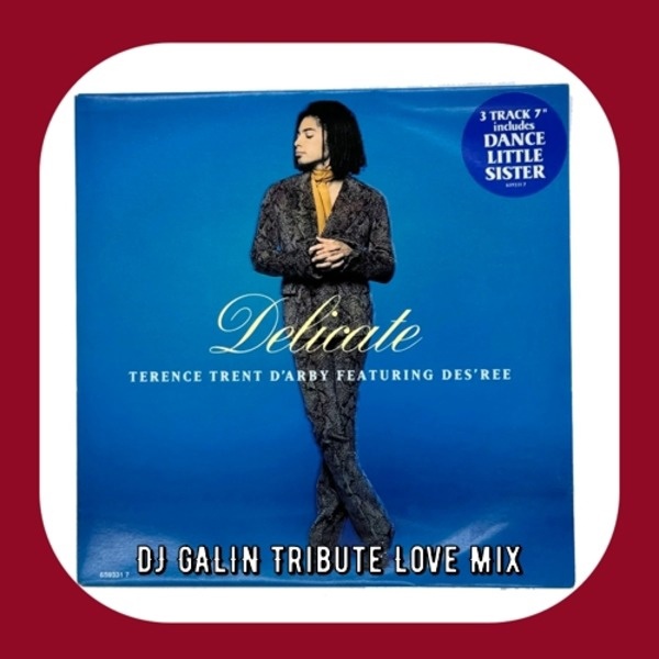 Terence Trent D'Arby feat. Des'ree - Delicate (DJ Galin Tribute Love Mix)