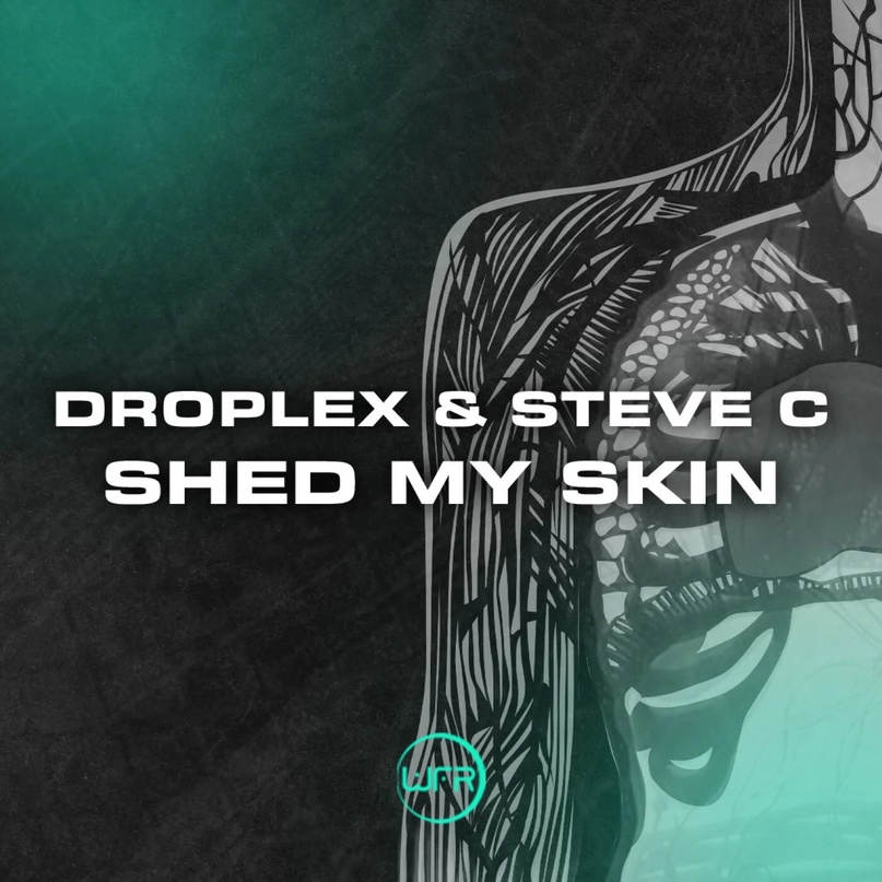 Droplex & Steve C - Shed My Skin (Original Mix)