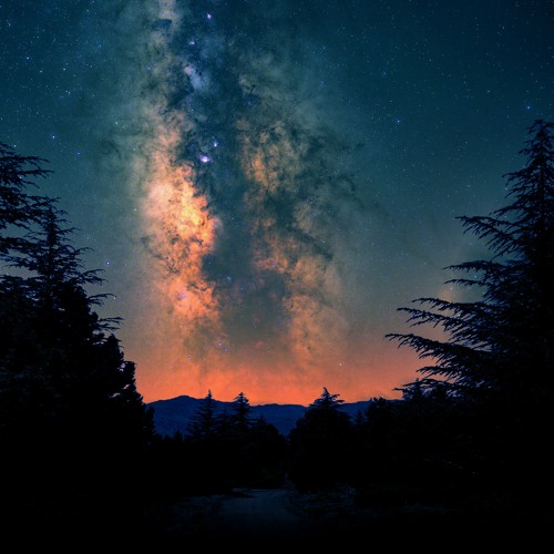 Bucky & Oscuro - Starlit Meadows (Original Mix)