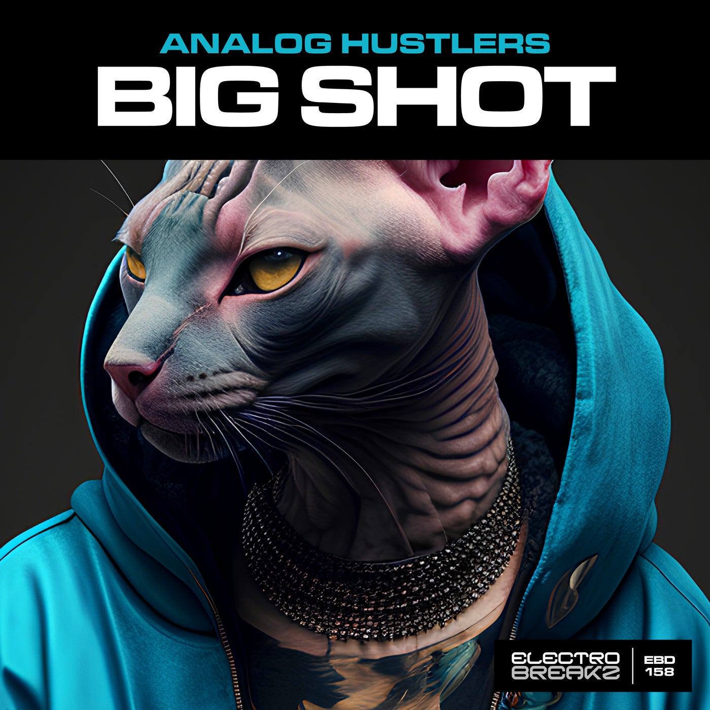 Analog Hustlers - Big Shot (Original Mix)