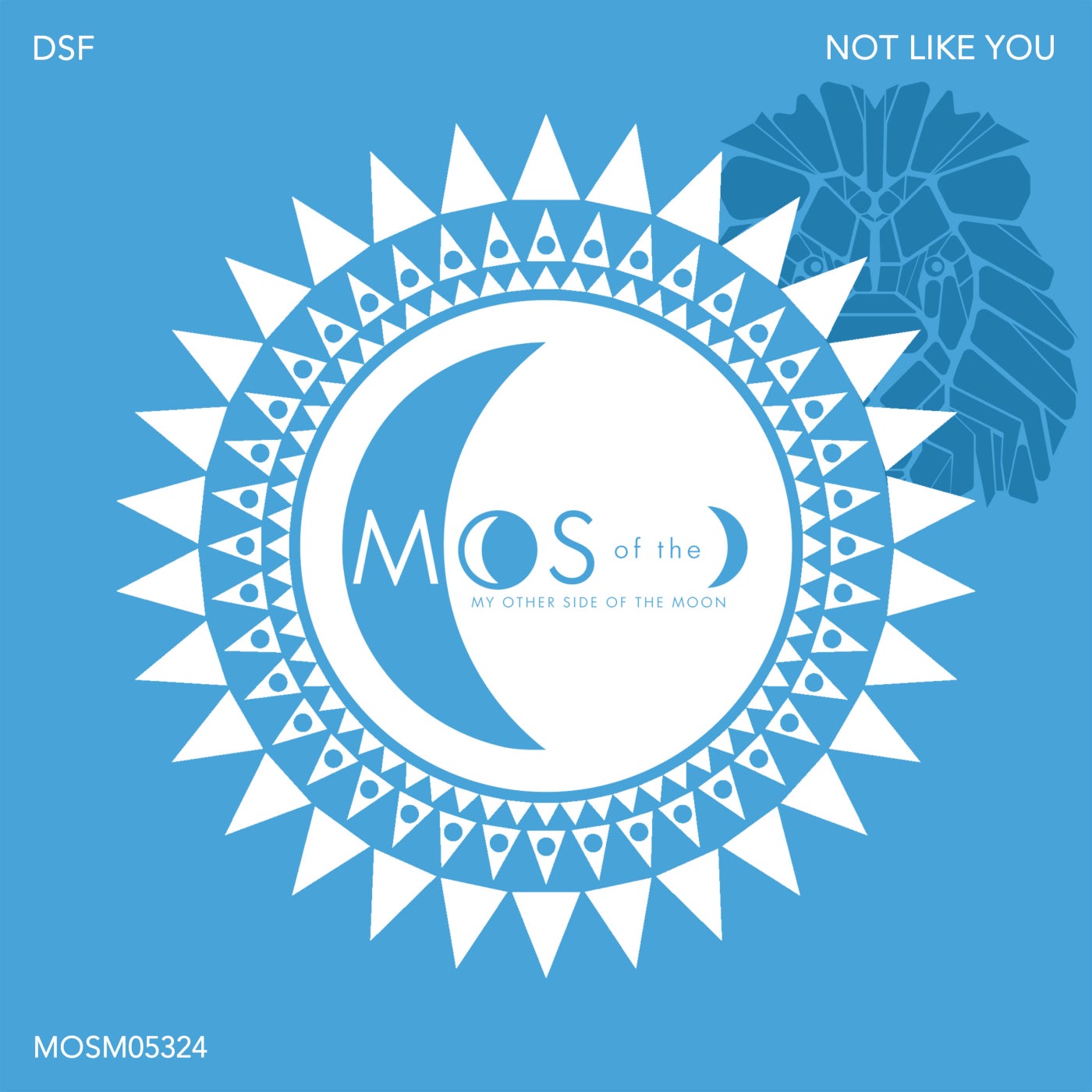 DSF - Not Like You (Extended Mix)