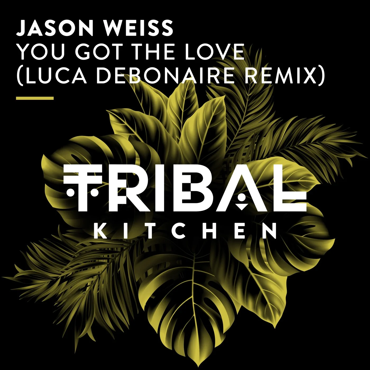 Jason Weiss - You Got the Love (Luca Debonaire Extended Remix)