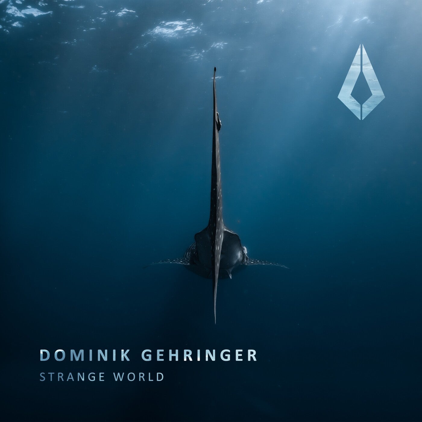 Dominik Gehringer - Strange World (Extended Mix)