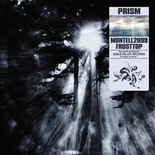 Montell2099 & FrostTop - Prism (Original Mix)