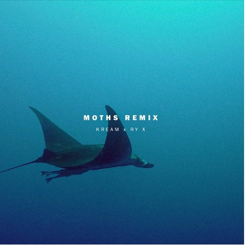 RY X - Moths (Kream Extended Remix)
