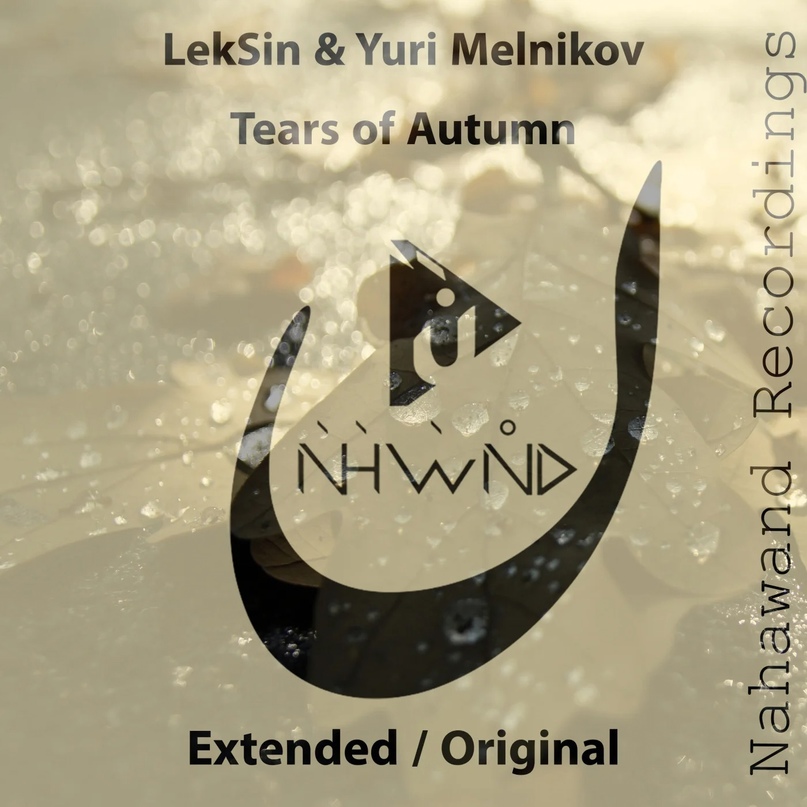 LekSin, Yuri Melnikov - Tears Of Autumn (Extended Mix)