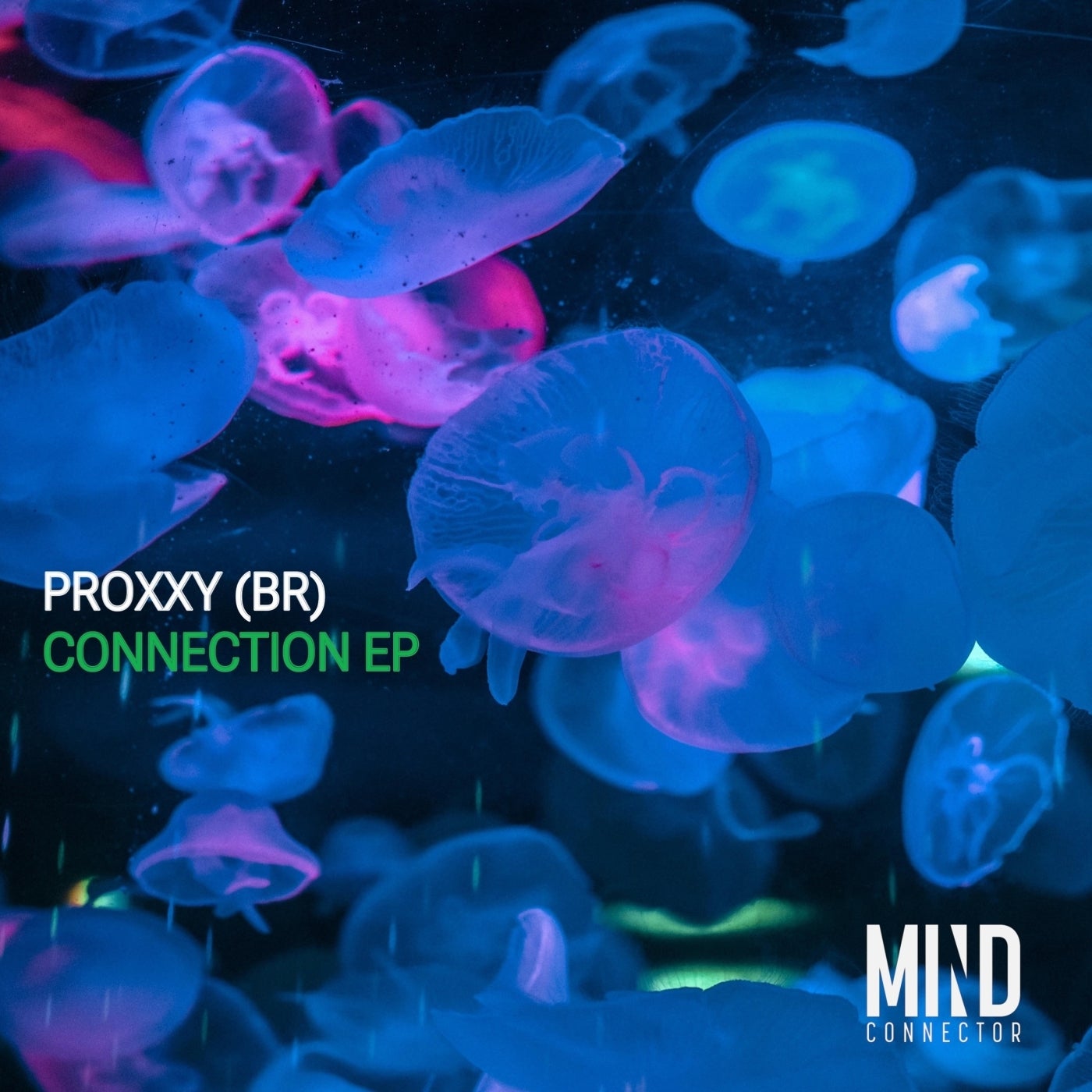 Proxxy (BR) - Connection (Original Mix)