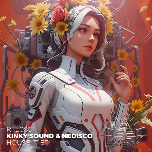 Kinky Sound & Nedisco - House It (Original Mix)