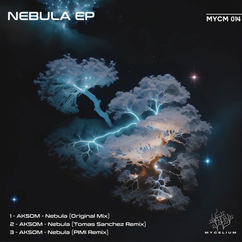 Aksom - Nebula (Pimi Remix)
