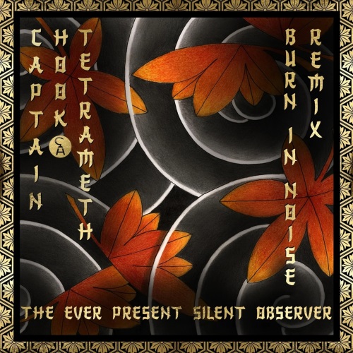 Captain Hook & Tetrameth - The Ever Present Silent Observer (Burn in Noise Remix)