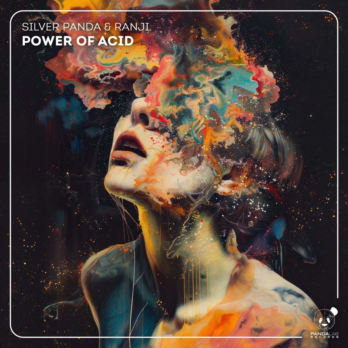 Ranji, Silver Panda - Power of Acid (Extended Mix)