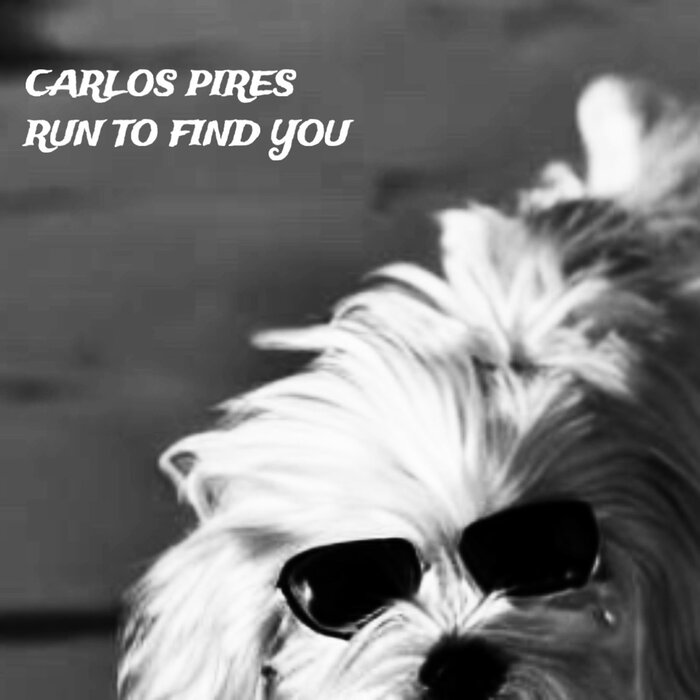 Carlos Pires - Run To Find You (Original Mix)