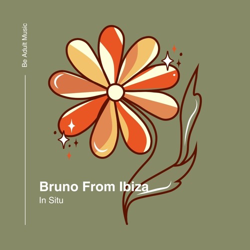 Bruno From Ibiza - In Situ (Original Mix)