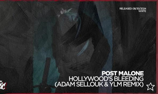 Post Malone - Hollywood's Bleeding (Adam Sellouk & YLM Remix)