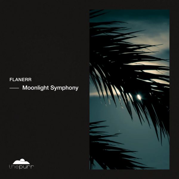 flanerr - Moonlight Symphony (Original Mix)