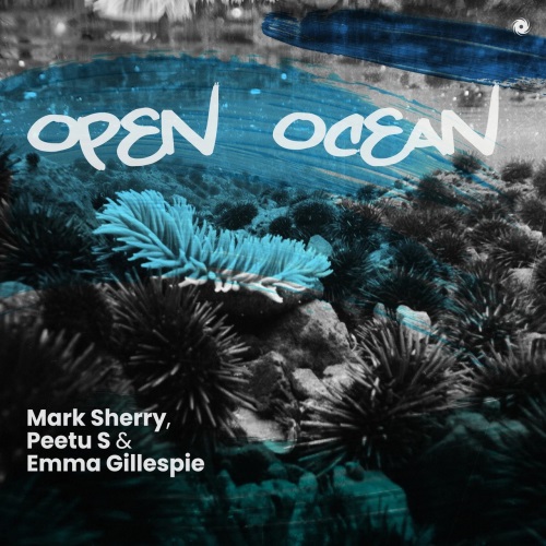 Mark Sherry, Peetu S & Emma Gillespie - Open Ocean (Extended Mix)